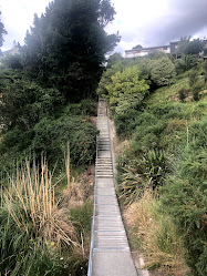 Tamaki Street Steps