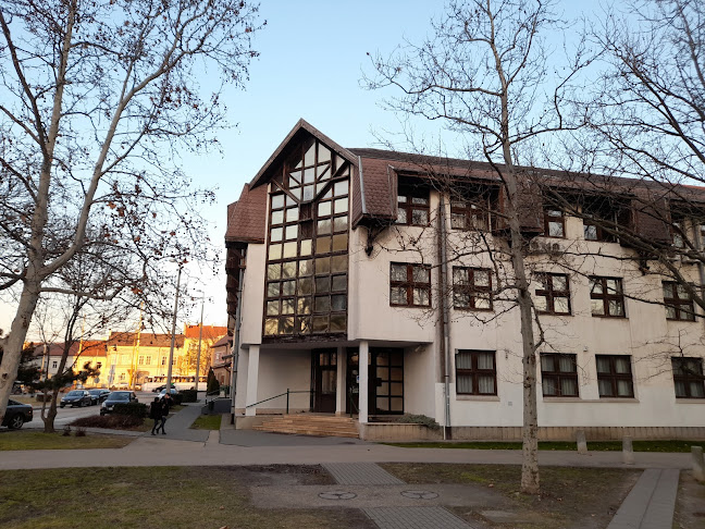 Dr. Balsay Miklós Diabetológus