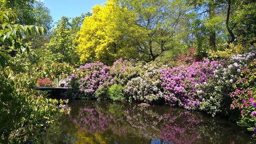 Trompenburg Tuinen & Arboretum