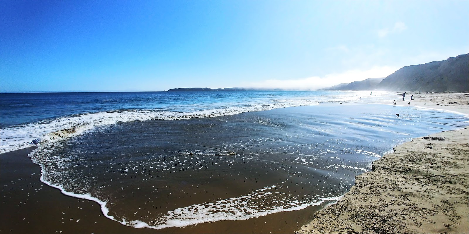Foto von Drake beach mit langer gerader strand