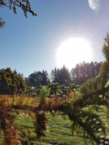 Golf Course «Dretzka Park Golf Course», reviews and photos, 12020 W Bradley Rd, Milwaukee, WI 53224, USA