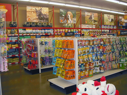 Pet Supply Store «Pet Food Express», reviews and photos, 383 S McDowell Blvd, Petaluma, CA 94954, USA