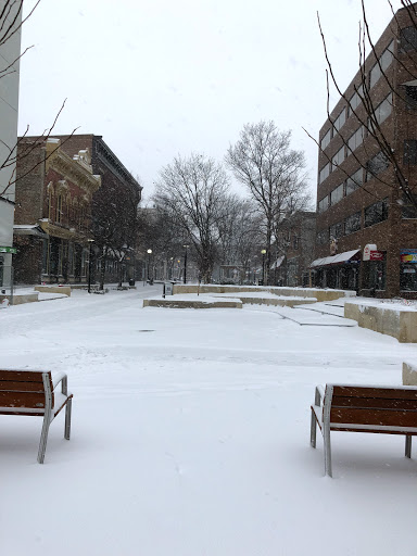 Tourist Attraction «Pedestrian Mall», reviews and photos, 201 Dubuque St, Iowa City, IA 52240, USA