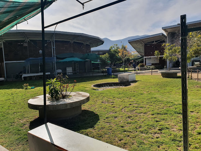 Terminal de Buses Illapel