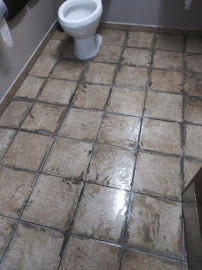 Modern Cleaning Solutions - Photo 9 - Car repair in , Tampa