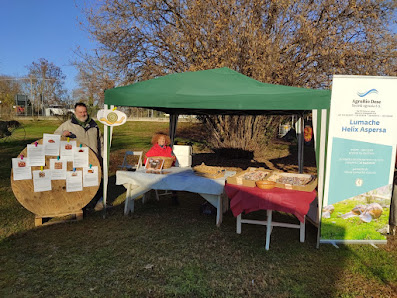 Agrobio Dese | Vendita diretta di lumache allevate all’aperto Via Fratelli Cervi, 10, 31021 Mogliano Veneto TV, Italia