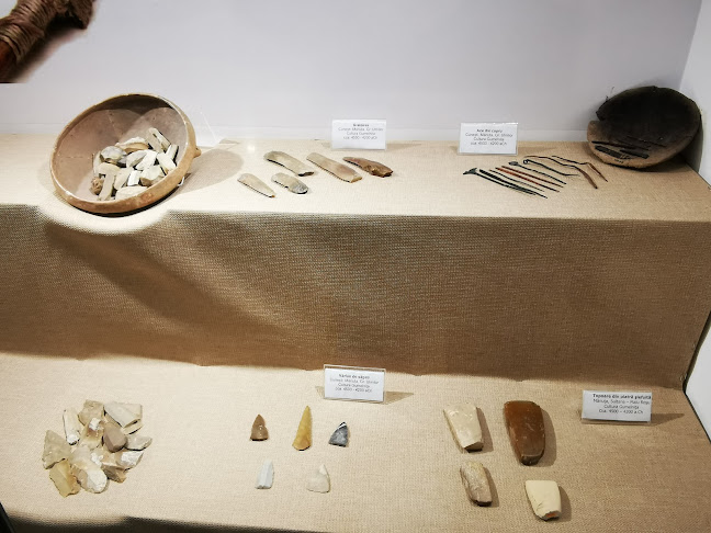 Comentarii opinii despre Muzeul dunarii de jos sectia arheologie