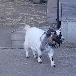 Photo n° 26 de l'avis de Aurelie.b fait le 22/06/2018 à 19:39 pour Bio-Topia Fort-Mardyck - Dunkerque à Dunkerque