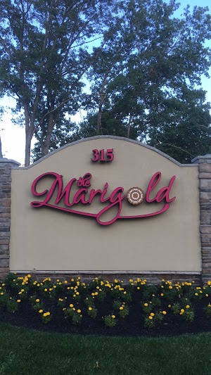 The Marigold - photo 13