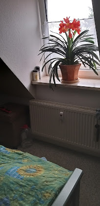 Photos des visiteurs Ferienwohnung Ferienwohnung-Rehberg 17194 Grabowhöfe