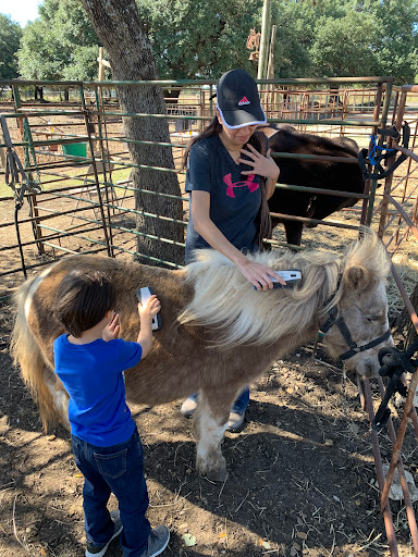 Pony Ride Service «The Farmyard», reviews and photos, 30250 Leroy Scheel Rd, Bulverde, TX 78163, USA