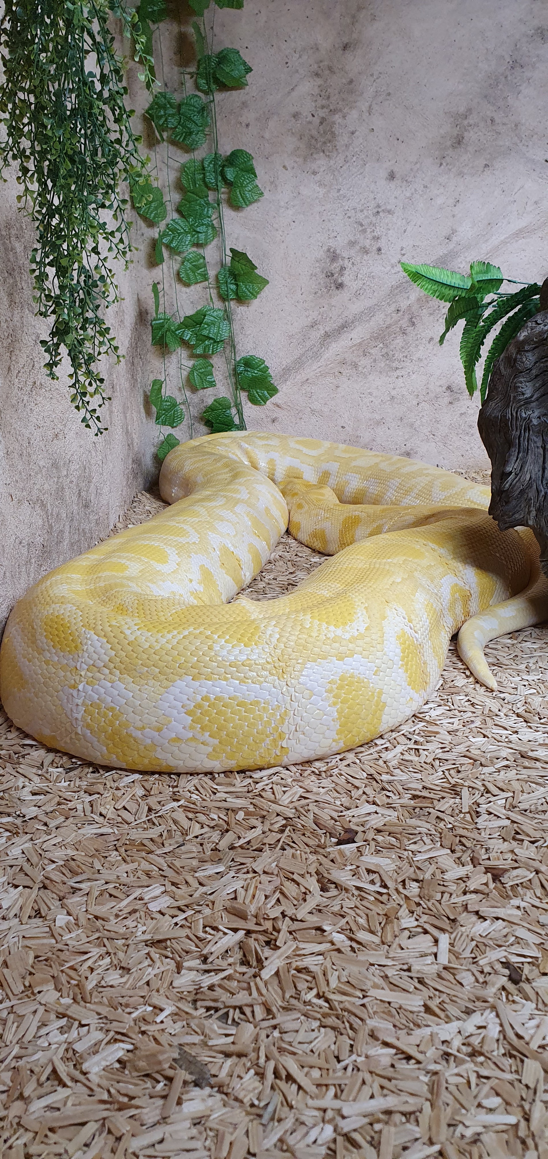 Photo n° 2 de l'avis de Laëtitia.E fait le 25/07/2020 à 00:11