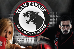 Yawara Brazilian Jiu-Jitsu & MMA Academy image