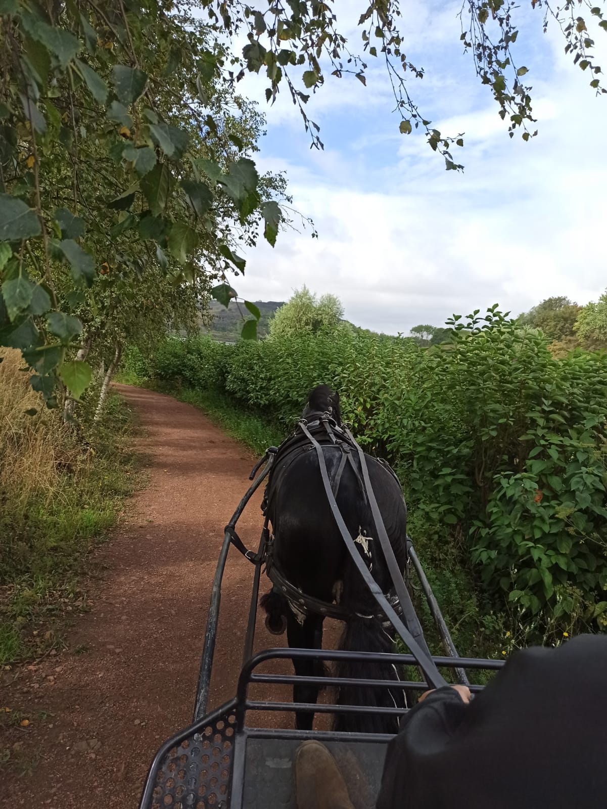 Photo n° 2 de l'avis de Sébastien.e fait le 09/04/2019 à 04:38