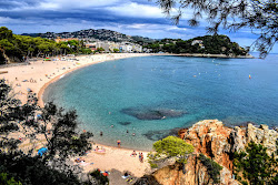 Foto di Platja de Fenals con baia spaziosa