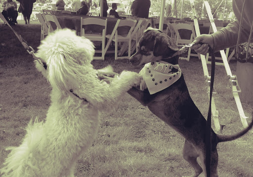 Park «Lake Front Park», reviews and photos, 23000 Jefferson Ave, St Clair Shores, MI 48080, USA