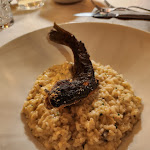 Photo n°6 de l'avis de Barbara.u fait le 20/03/2023 à 19:09 sur le  Trattoria San Giuseppe Antico Laboratorio del Risotto à Castel d'Ario