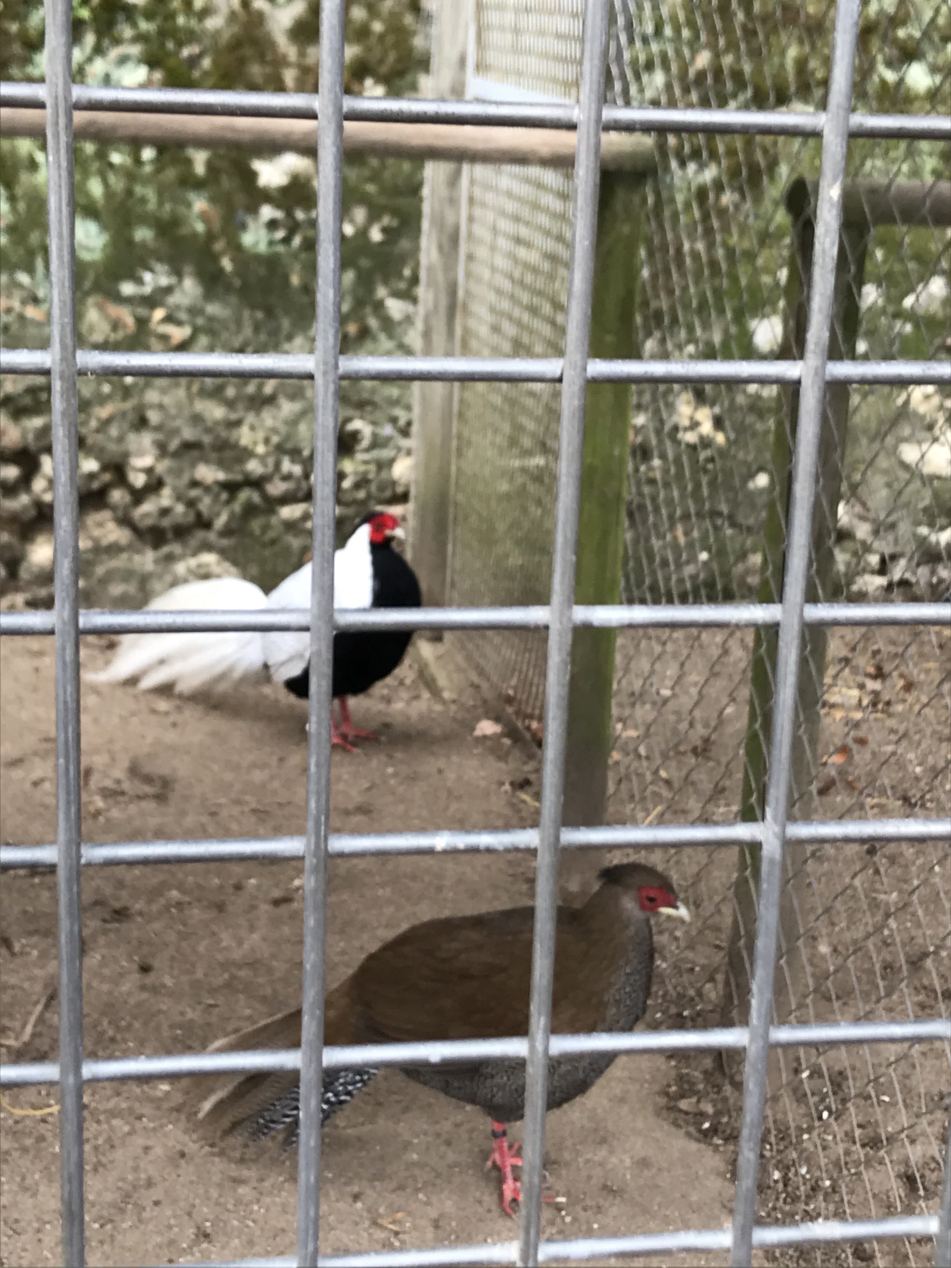 Photo n° 10 de l'avis de Lea.a fait le 15/03/2021 à 15:44