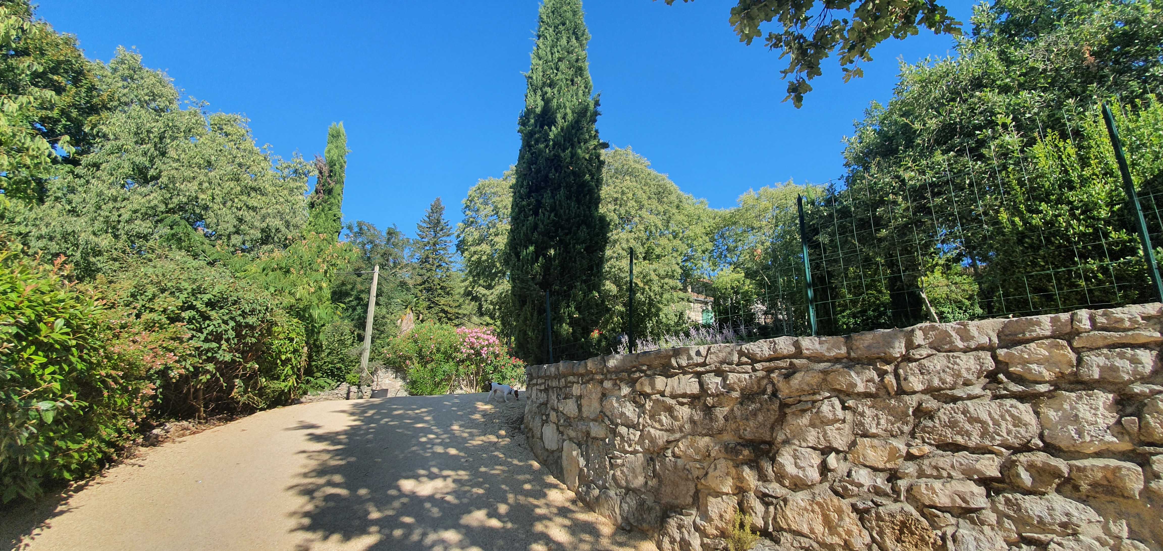 Photo n° 3 de l'avis de Angelique.a fait le 16/07/2020 à 13:23