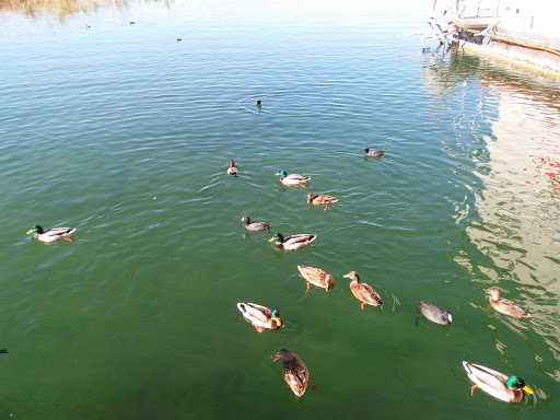 National Park «Lake Mead National Recreation Area», reviews and photos