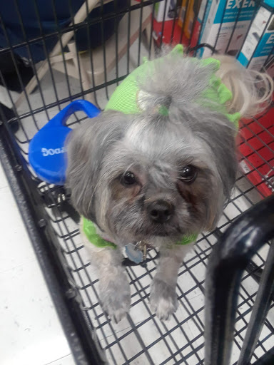 Pet Supply Store «Petco Animal Supplies», reviews and photos, 848 N Colony Rd c, Wallingford, CT 06492, USA