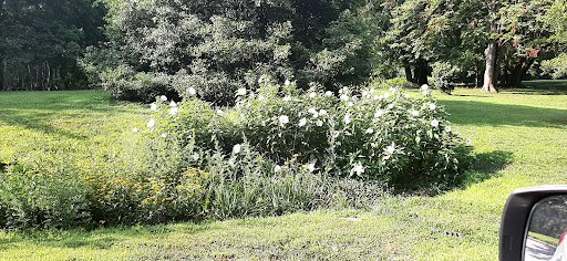 Nature Preserve «Woodend Sanctuary», reviews and photos, 8940 Jones Mill Rd, Chevy Chase, MD 20815, USA