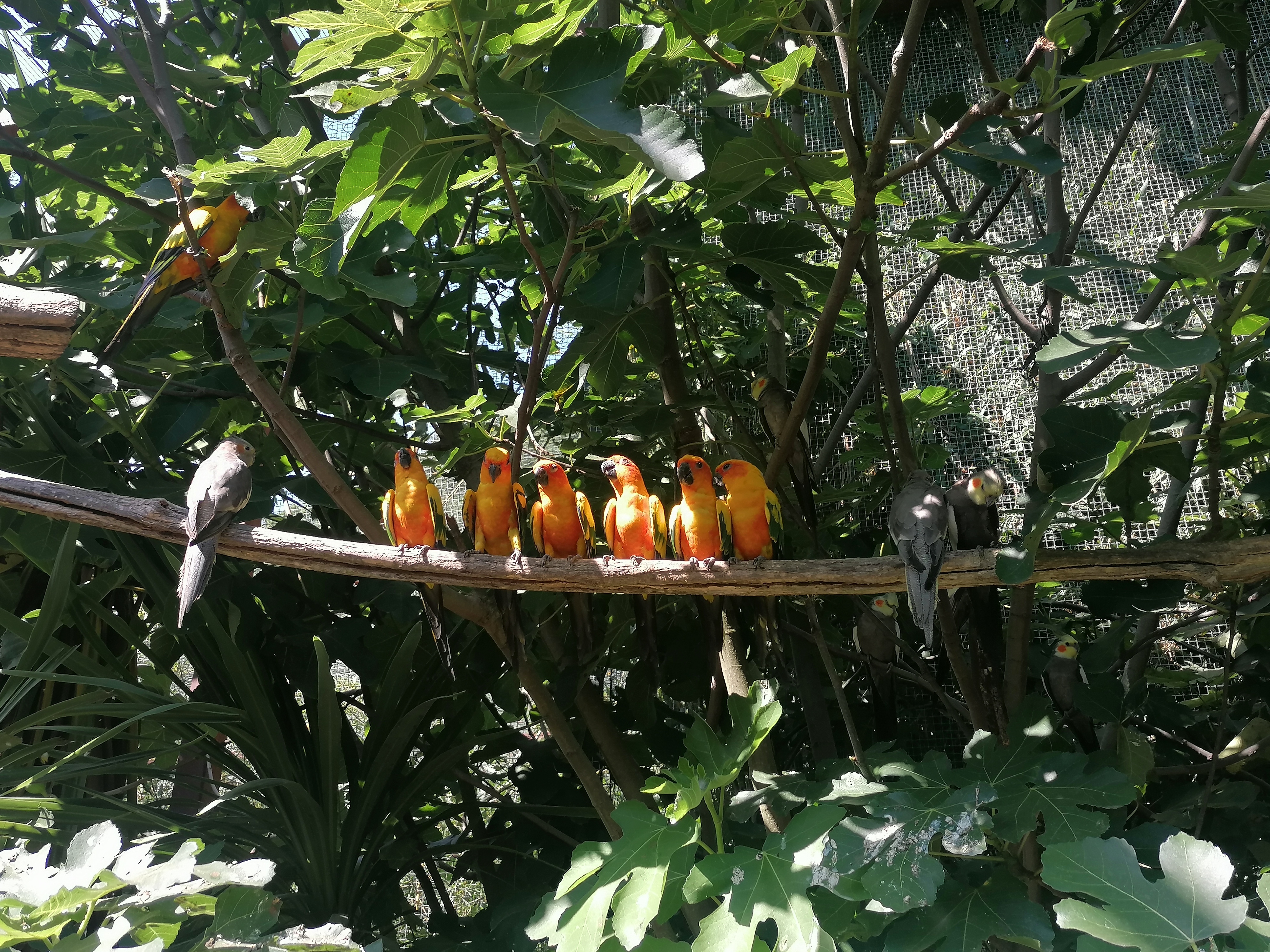 Photo n° 9 de l'avis de Gilles.. fait le 23/08/2023 à 12:57