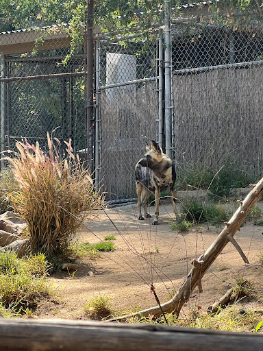 Hotel «DoubleTree by Hilton Hotel Los Angeles - Norwalk», reviews and photos, 13111 Sycamore Dr, Norwalk, CA 90650, USA