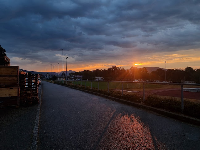 https://www.val-de-ruz.ch/decouverte/culture-sports-loisirs/piscines