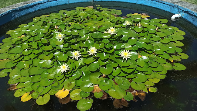 Jardín Botánico de Montevideo - Sarandí Grande