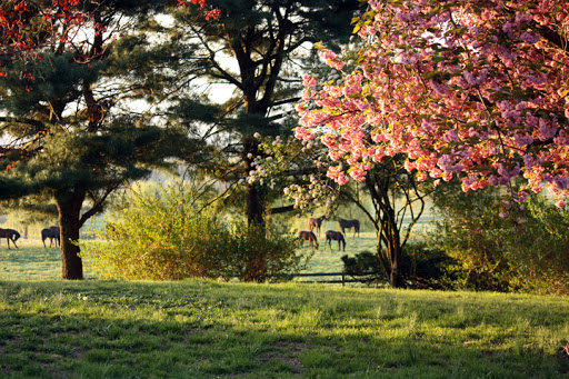 Day Spa «Miracles Day Spa», reviews and photos, 814 Hoagerburgh Rd, Wallkill, NY 12589, USA