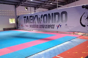 Federación Dominicana de Taekwondo image