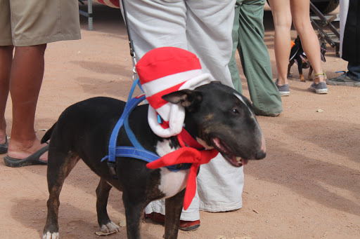 Park «Tumbleweed Park», reviews and photos, 745 E Germann Rd, Chandler, AZ 85286, USA