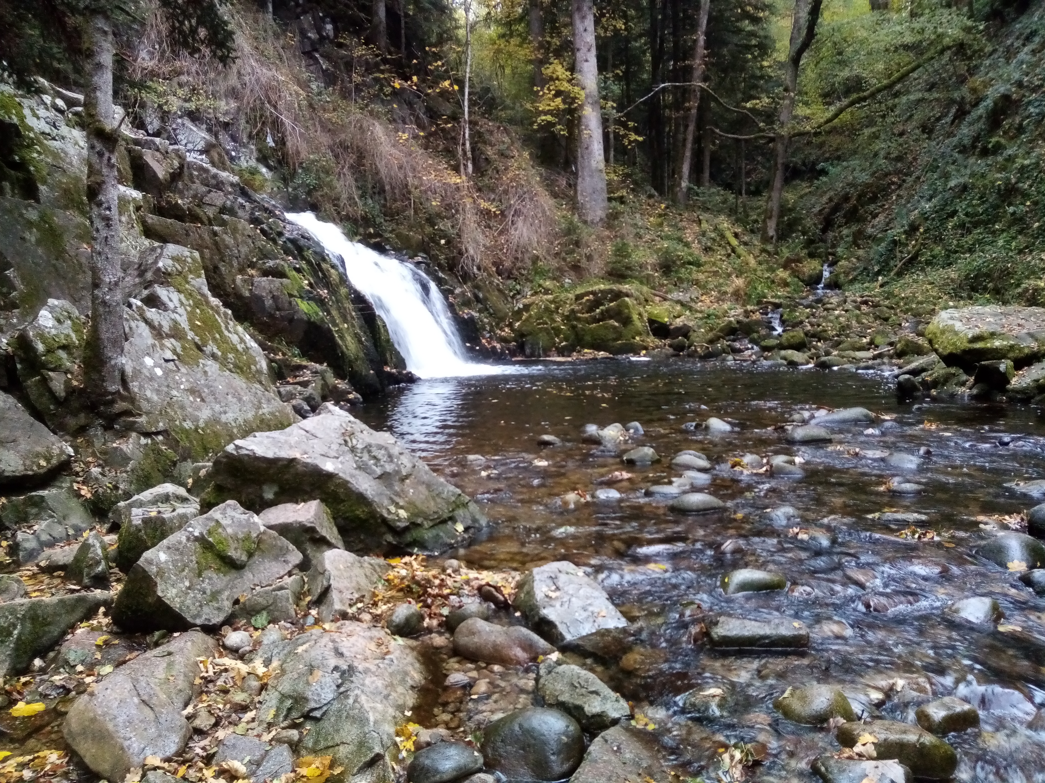Photo n° 9 de l'avis de Fabrice.u fait le 31/10/2020 à 22:17