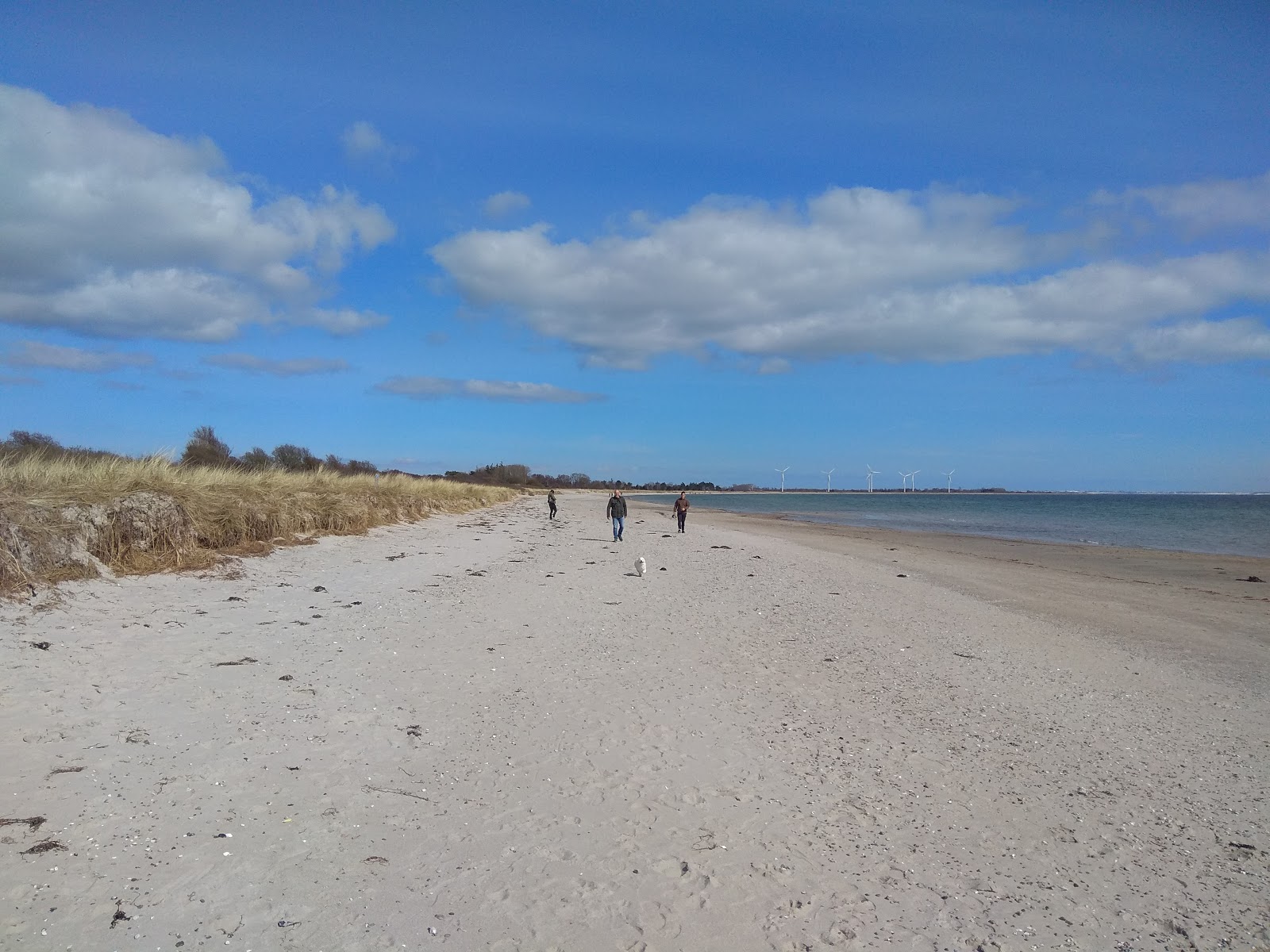 Valokuva Skovmose strandista. sijaitsee luonnonalueella