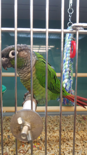 Pet Supply Store «Pet Supplies Plus», reviews and photos, 2155 Delaware Ave, Buffalo, NY 14216, USA