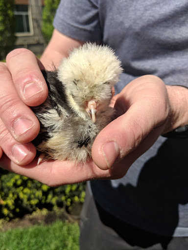 Art Museum «Taft Museum of Art», reviews and photos, 316 Pike St, Cincinnati, OH 45202, USA