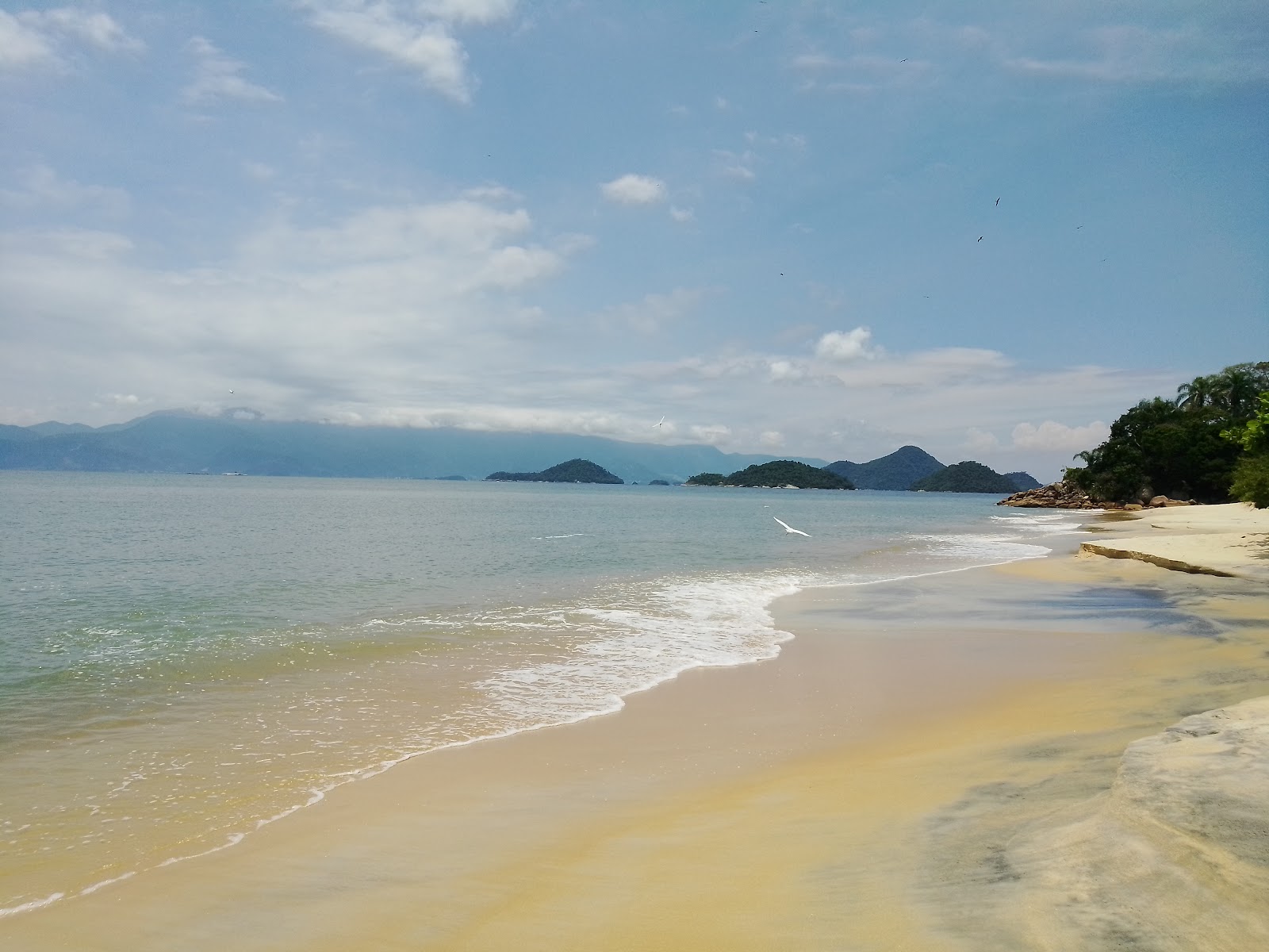 Praia do Marambaia photo #8