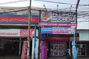 Petshop Indonesia 18 - Perwira, Bekasi Utara image