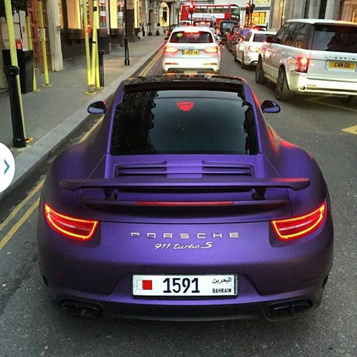 Controle Technique Des Palmiers