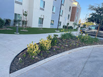 Walking and working landscape maintenance - Photo 3 - Car repair in Fresno, CA, Fresno