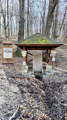 Opinii despre Sáferkút în Drégelypalánk - Sportpálya