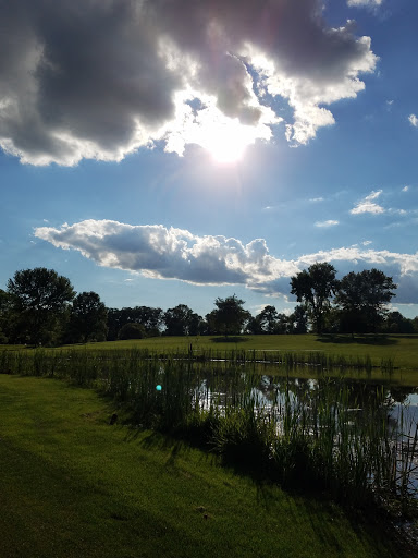 Public Golf Course «Reddeman Farms Golf & Banquets», reviews and photos, 555 S Dancer Rd, Chelsea, MI 48118, USA