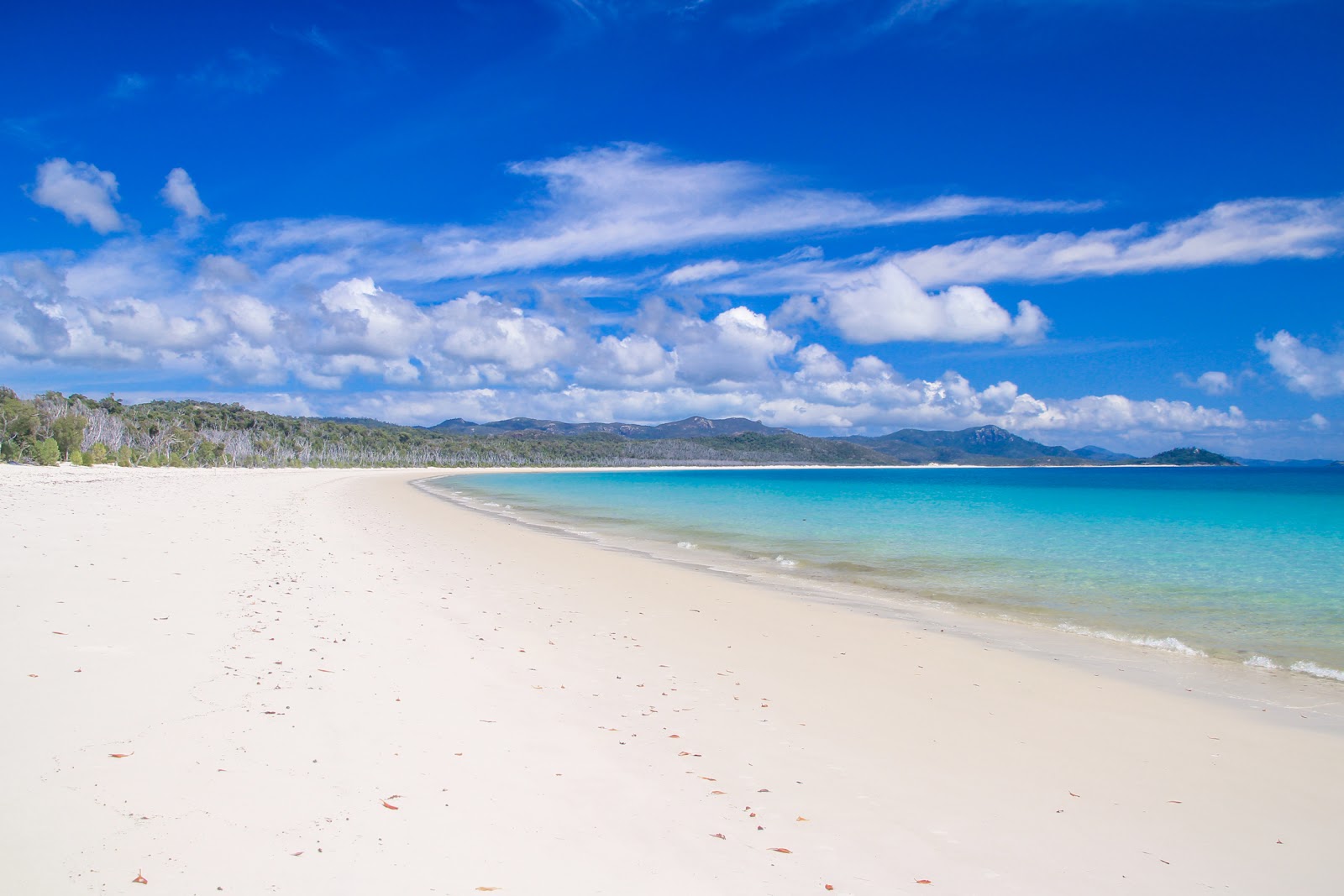 Photo of Whitehaven Beach with long straight shore