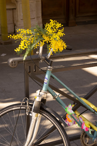 Mimosa Bike Repair - réparation de vélos à domicile et en atelier à Marseille