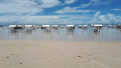 Praia Do Meio'in fotoğrafı çok temiz temizlik seviyesi ile