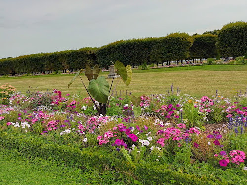 Fontaine - Parc château St Germain en Laye à Saint-Germain-en-Laye
