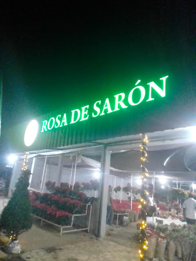 Vivero Rosa De Sarón