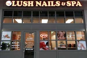 Lush Nails and Spa image