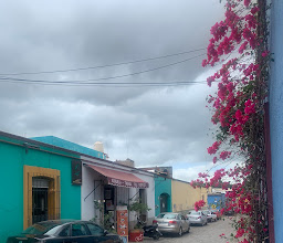 Xiguela Tienda photo